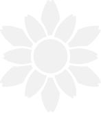 Arnica logo